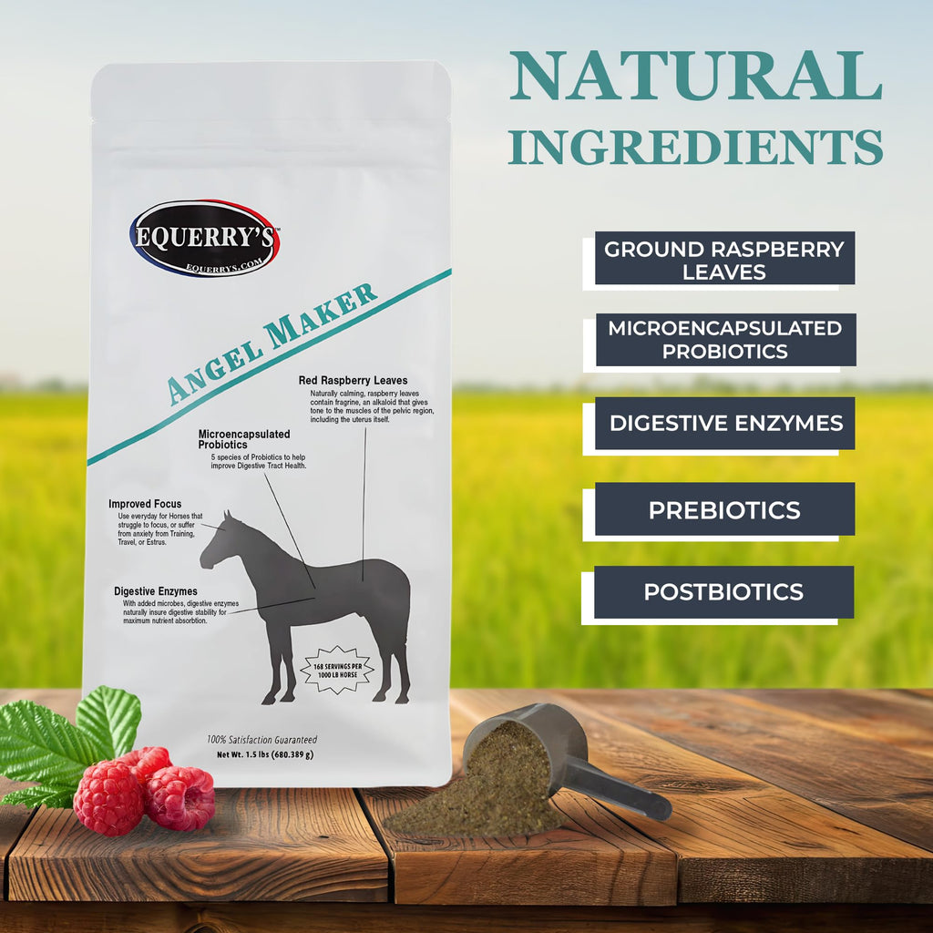 Equerry's Angel Maker, Raspberry Leaf, Microencapsulated Probiotics Supplement for Horse Ulcer Treatment & Digestive Health Calmness & Focus, 1.5lb.