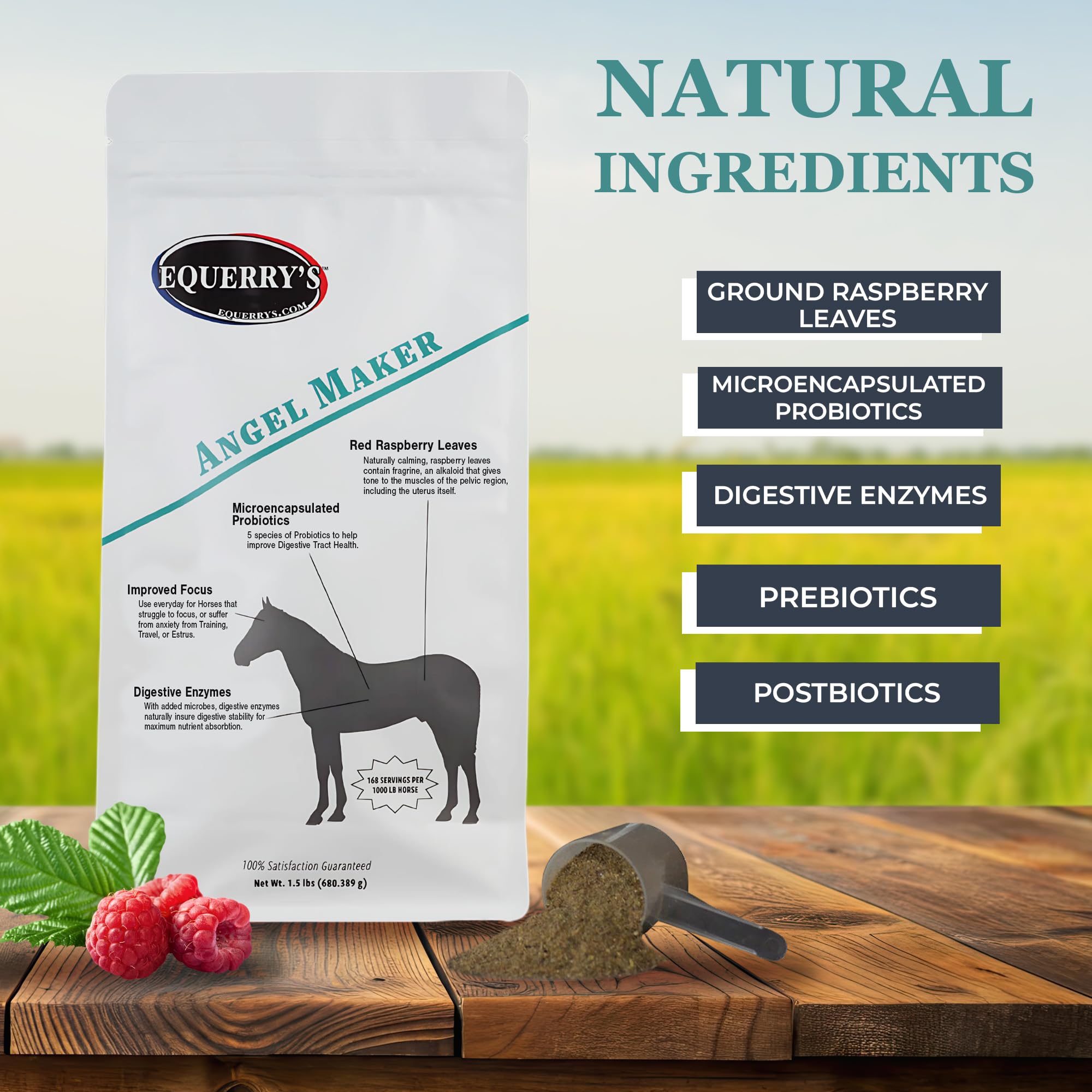 Equerry's Angel Maker, Raspberry Leaf, Microencapsulated Probiotics Supplement for Horse Ulcer Treatment & Digestive Health Calmness & Focus, 1.5lb.