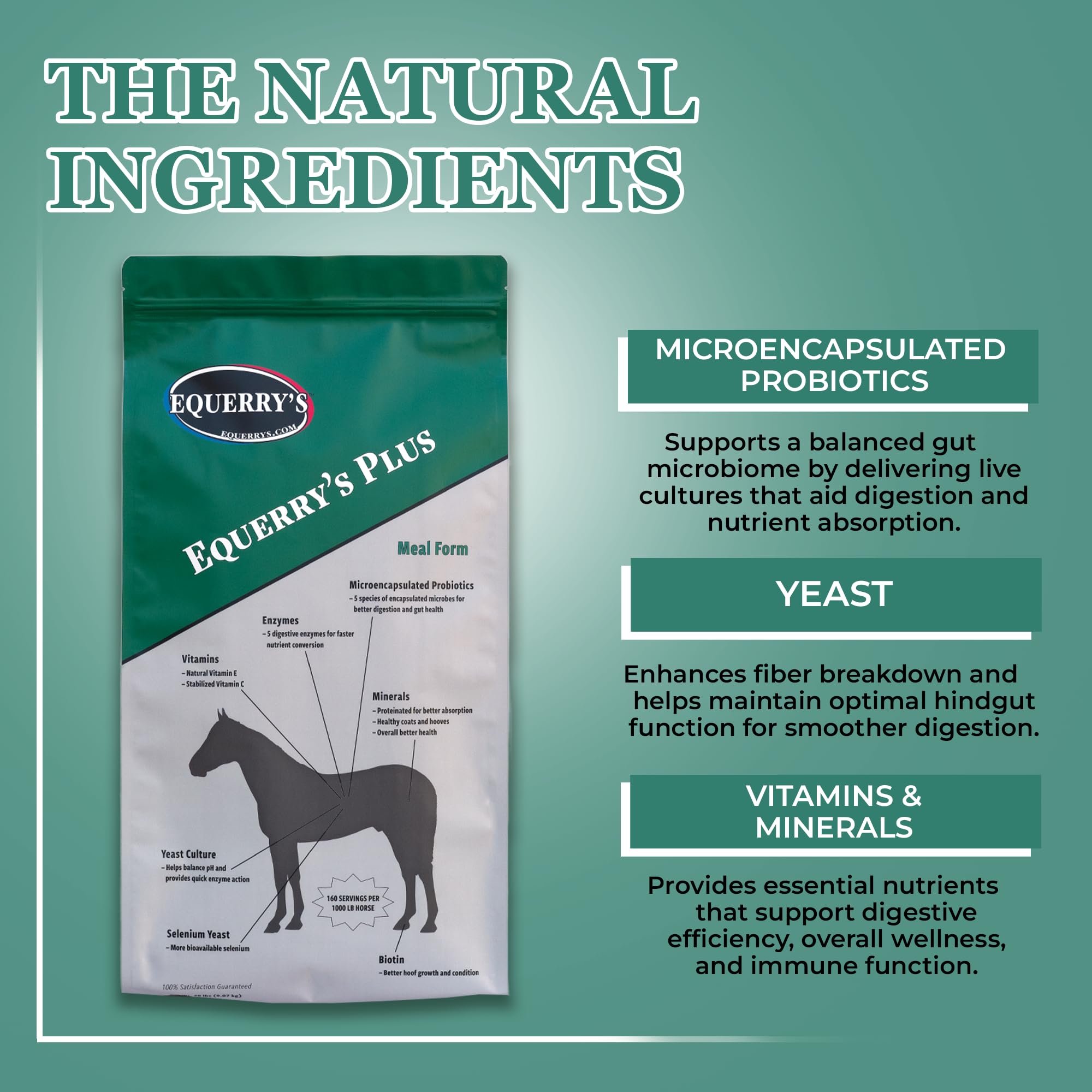 Equerry's Plus Horse Supplement - Enhanced Support with Probiotics for Digestion, Vitamins, and Minerals - Made in USA - 20 lb