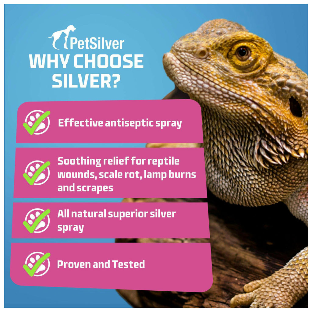 PetSilver Reptile Wound Spray with Chelated Silver – Reptile Wound Care for Snakes, Lizards, Geckos – Burns, Sores, Irritations & Scale Rot Treatment – Non-Toxic & Safe – Made in USA – 2 fl oz