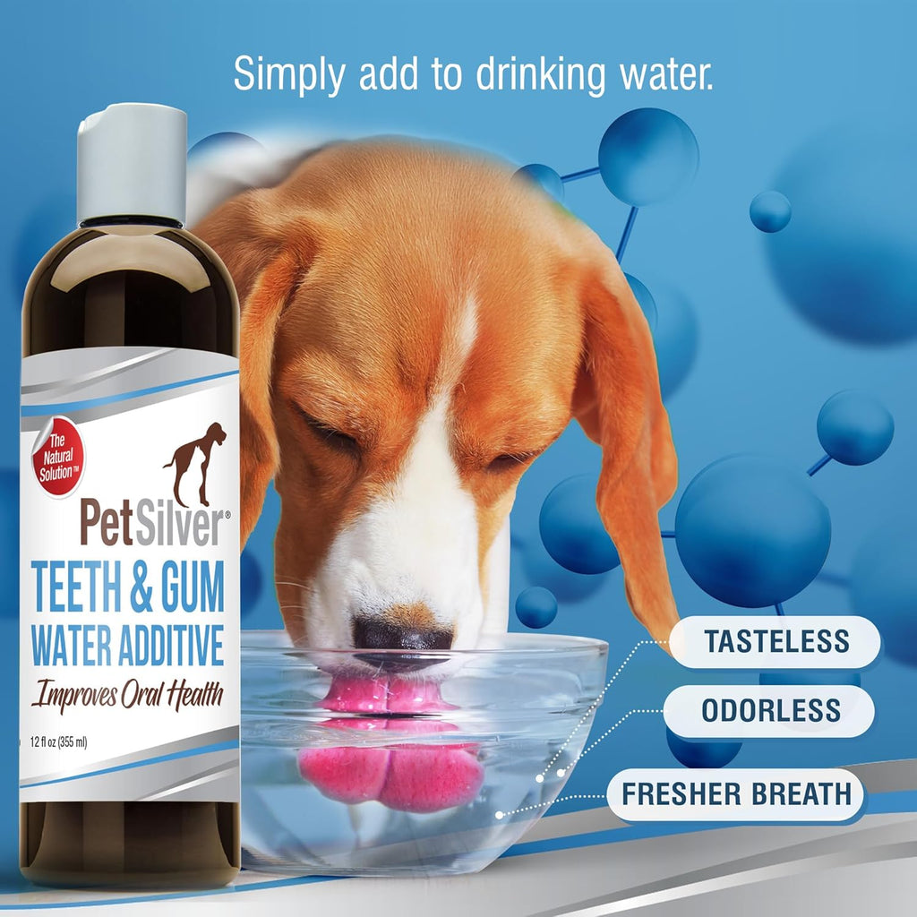 PetSilver Teeth & Gum Water Additive for Dental Care - Pet Breath Freshener - Targets Tartar, Plaque & Promotes Fresh Breath - Dog Oral Care & Cat Teeth Cleaning - No Brushing & Tasteless - 12 fl oz