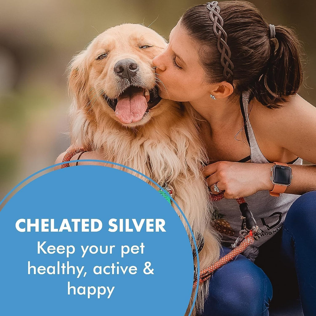 PetSilver Teeth & Gum Water Additive for Dental Care - Pet Breath Freshener - Targets Tartar, Plaque & Promotes Fresh Breath - Dog Oral Care & Cat Teeth Cleaning - No Brushing & Tasteless - 12 fl oz