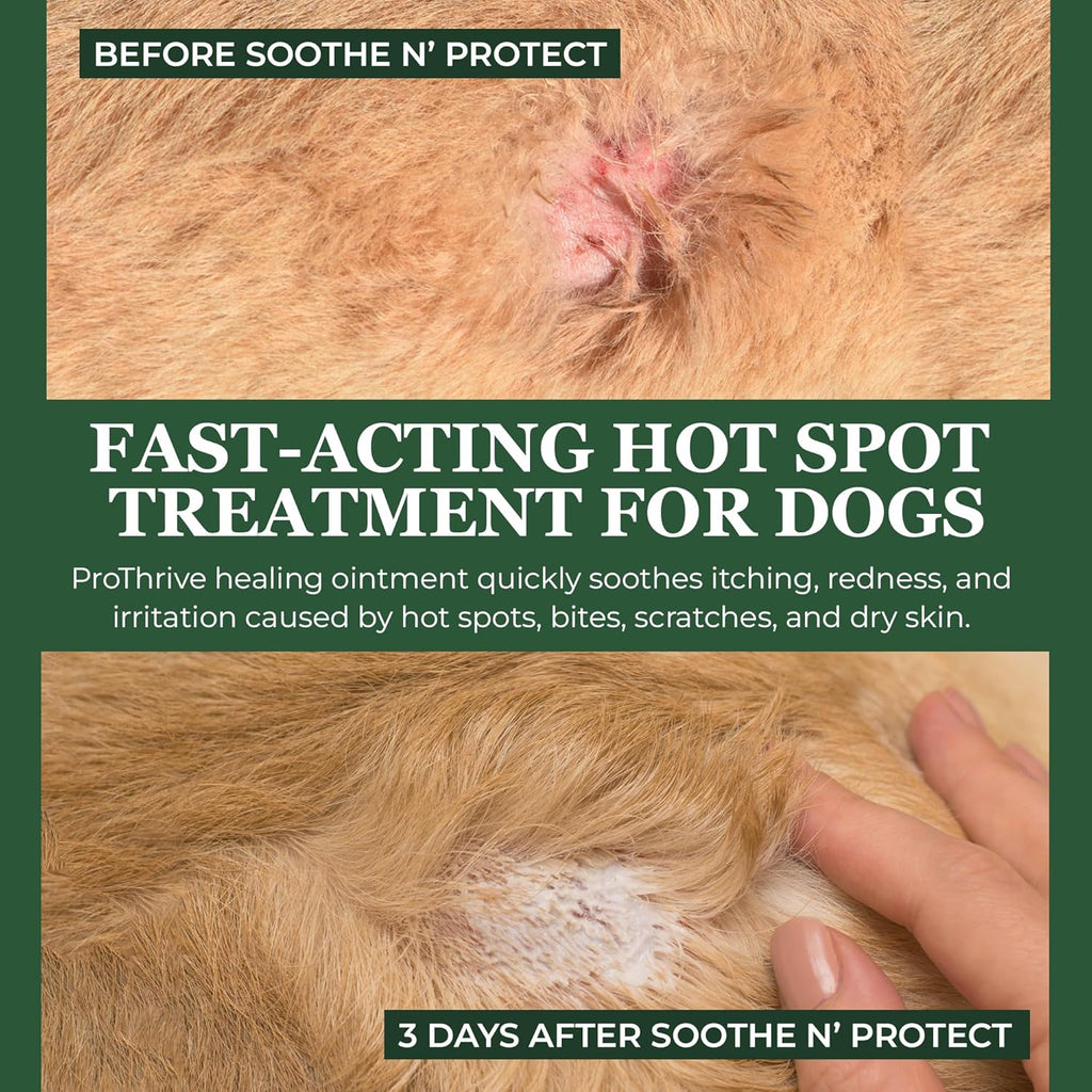 Soothe N’ Protect Dog Ointment, Hot Spot Treatment for Dogs, Healing Moisturizer for Skin Irritation, Itching, Hot Spots, Bites, Skin Salve for Dog Wound Care, 3oz
