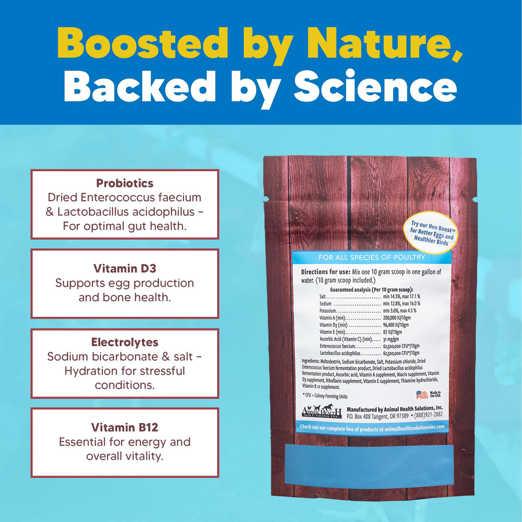 Equerry's Flock PRO Chick Boost Probiotic - Probiotics, Vitamins, Minerals and Electrolytes for Chickens | Chicken Vitamins and Supplements for All Poultry - 8oz