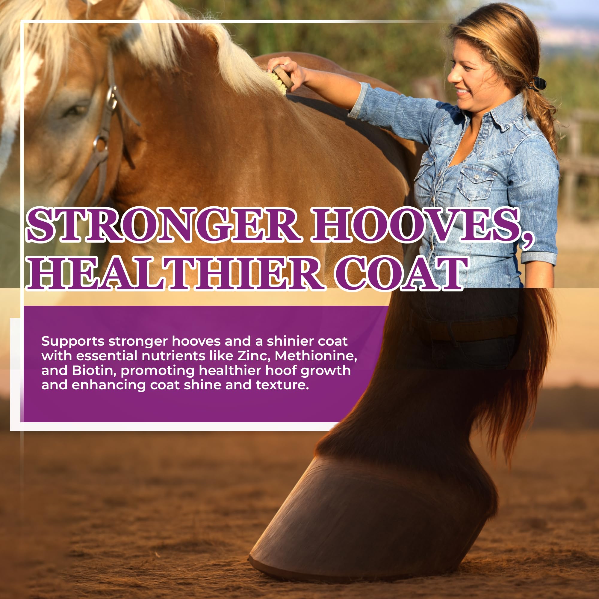 Equerry's Professional Hoof-GRO Equine Hoof Supplement for Horses, with Biotin, Digestive Enzymes, Probiotics, Supports Strong Healthy Hooves (5 lb)