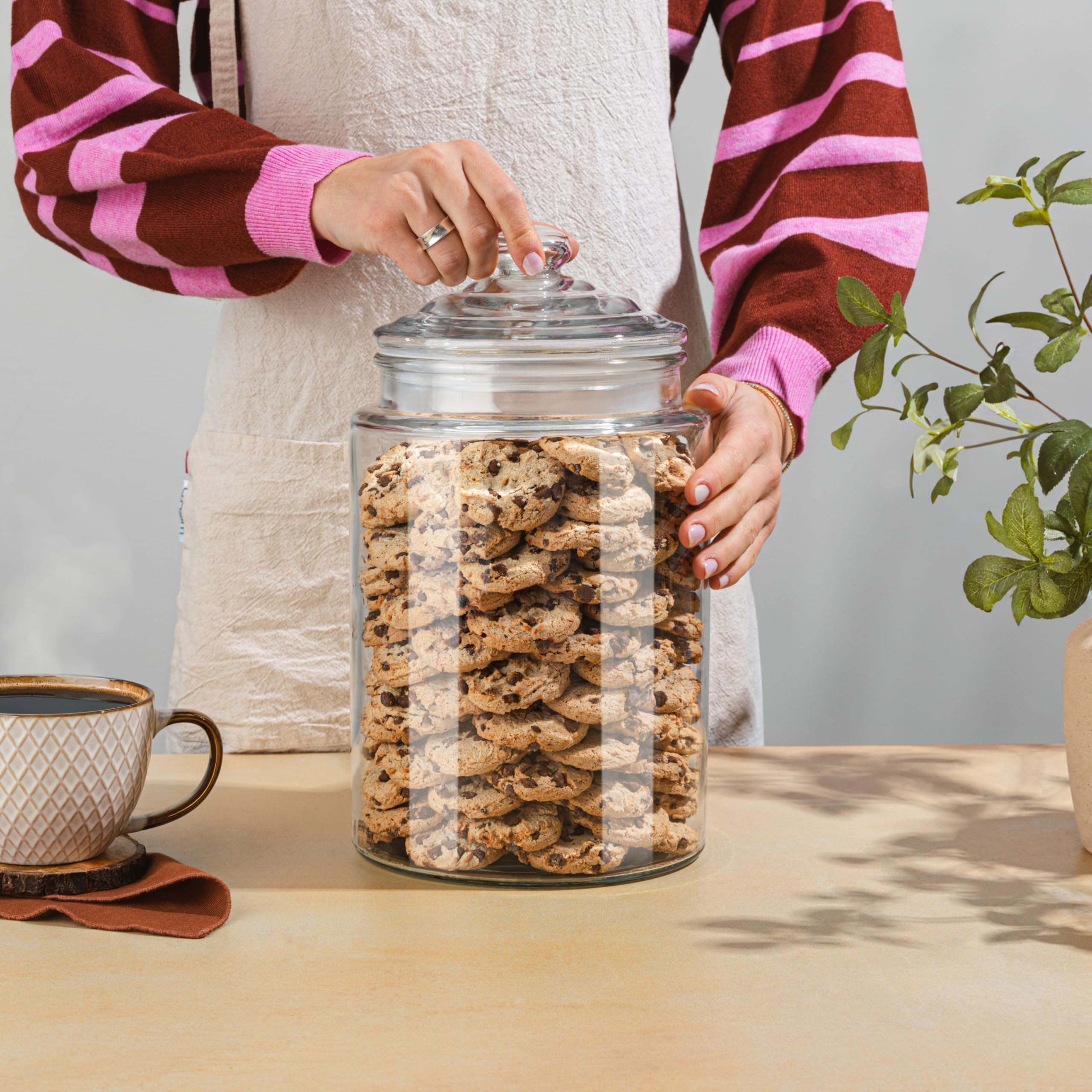 2-Gallon Tall Glass Cookie Jar with Airtight Lid – Large Kitchen Canister for Cookies, Sugar, Flour, and Dog Treats