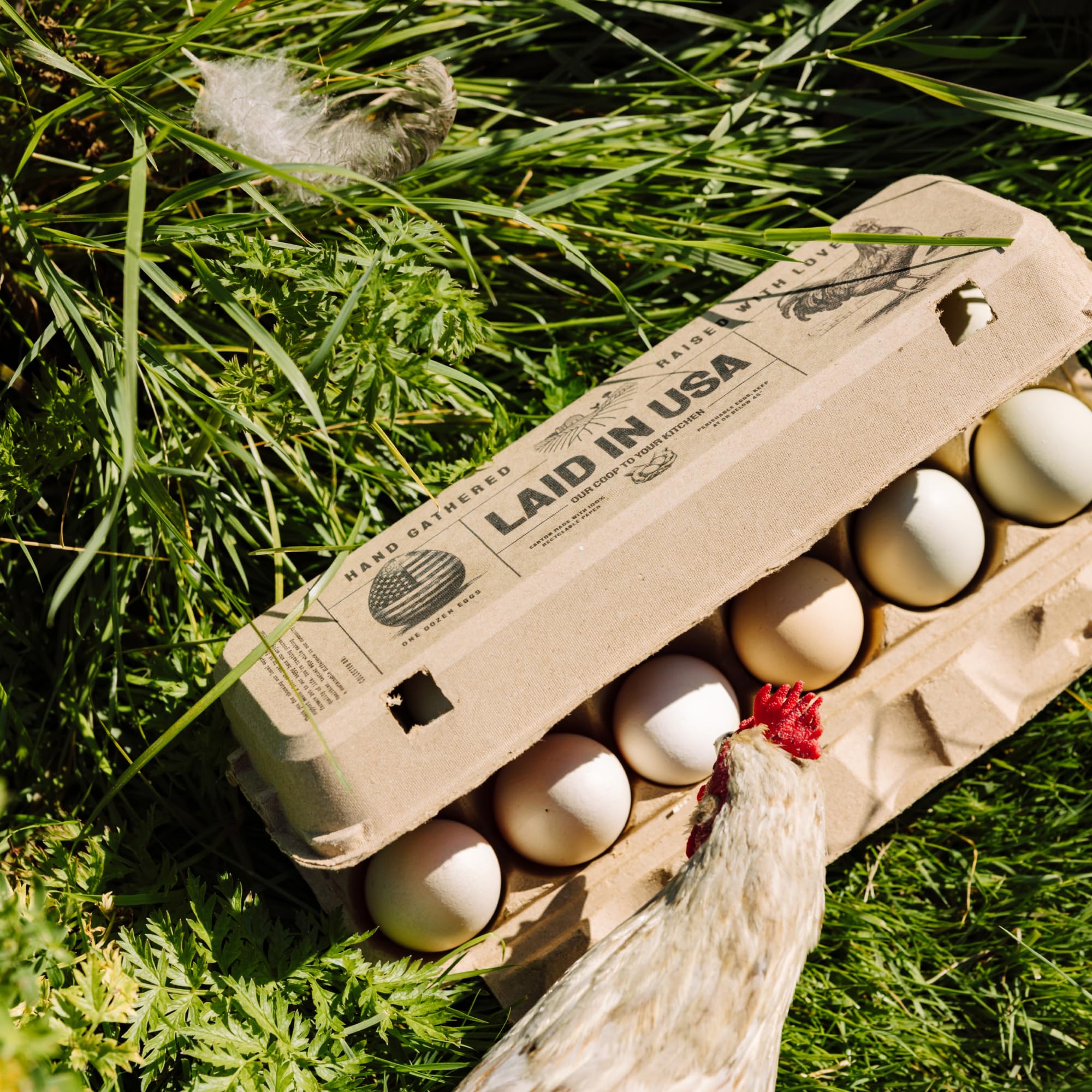 PTCOM Hatortempt Bulk Egg Cartons - 24-Pack, Reusable 12-Count Basket - Recycled Paper Pulp Protection & Ventilation - Fits Small to XL Sizes - Dozen Egg Carton Basket