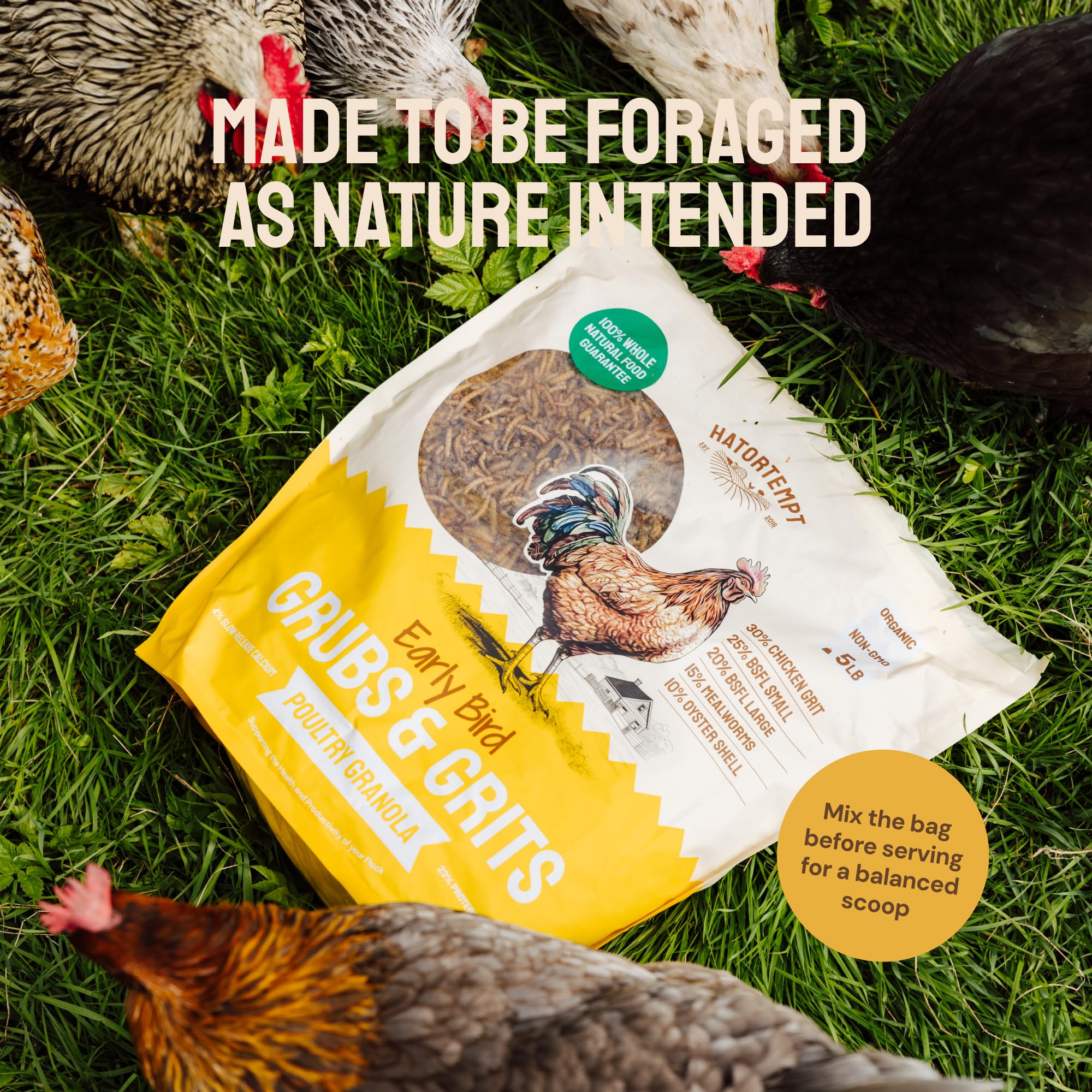 Hatortempt Grubs & Grits Chicken Feed Supplement - 5lb - with Chicken Grit, Mealworms, Black Fly Larvae and Oyster Shells - 21% Protein and 15% Calcium