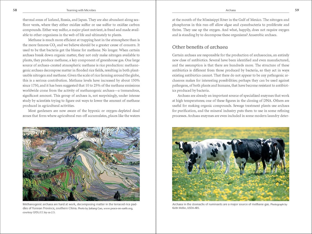 Teaming with Microbes: The Organic Gardener's Guide to the Soil Food Web, Revised Edition