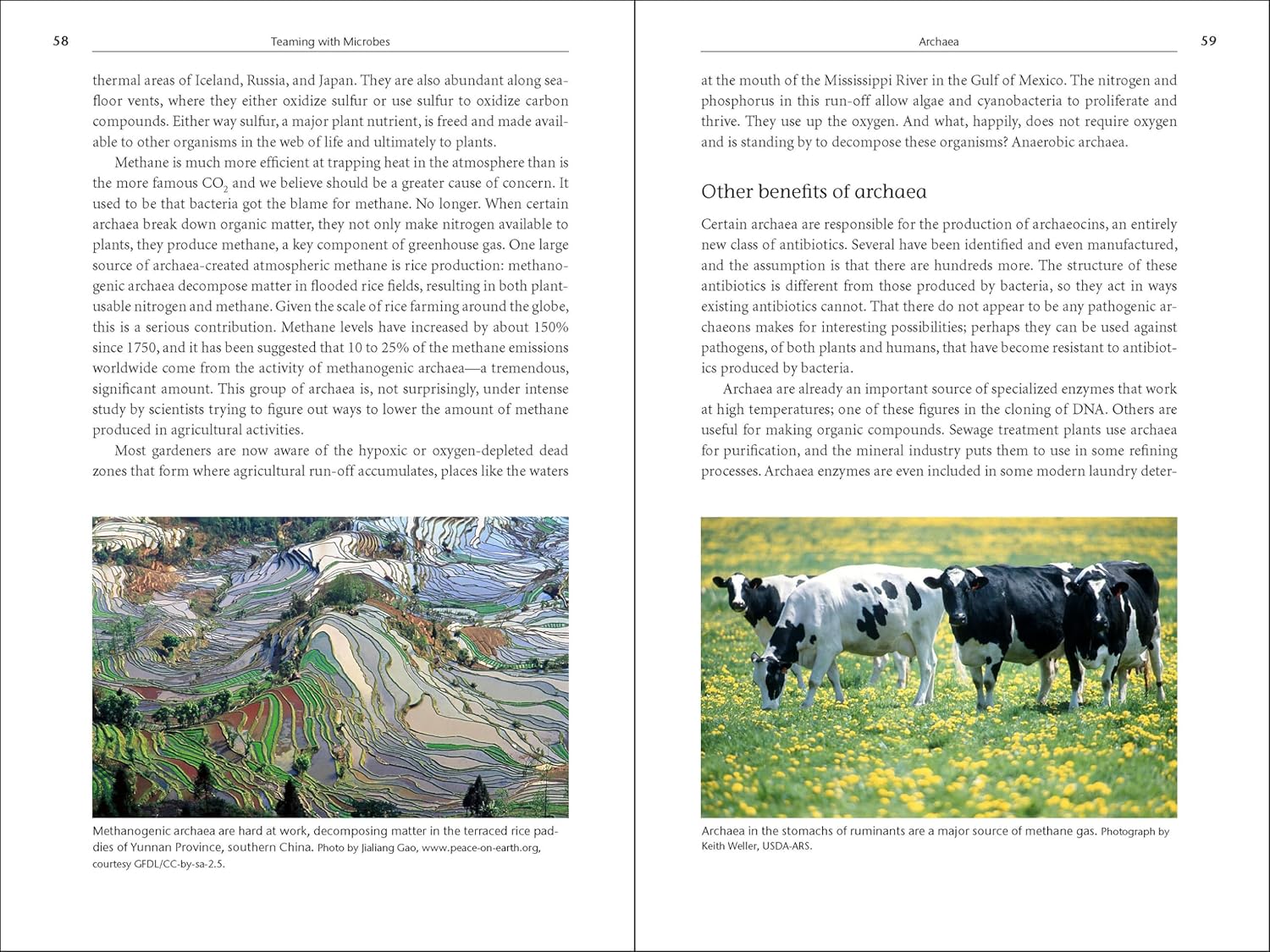 Teaming with Microbes: The Organic Gardener's Guide to the Soil Food Web, Revised Edition