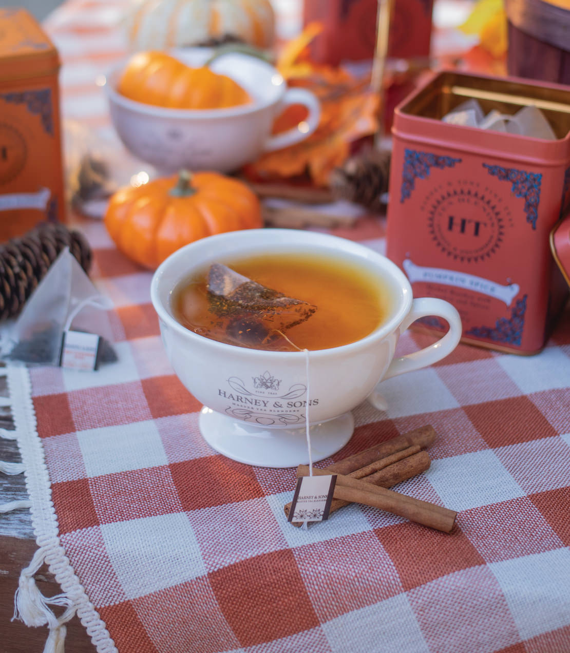 Pumpkin Spice, HT Tin of 20 Sachets