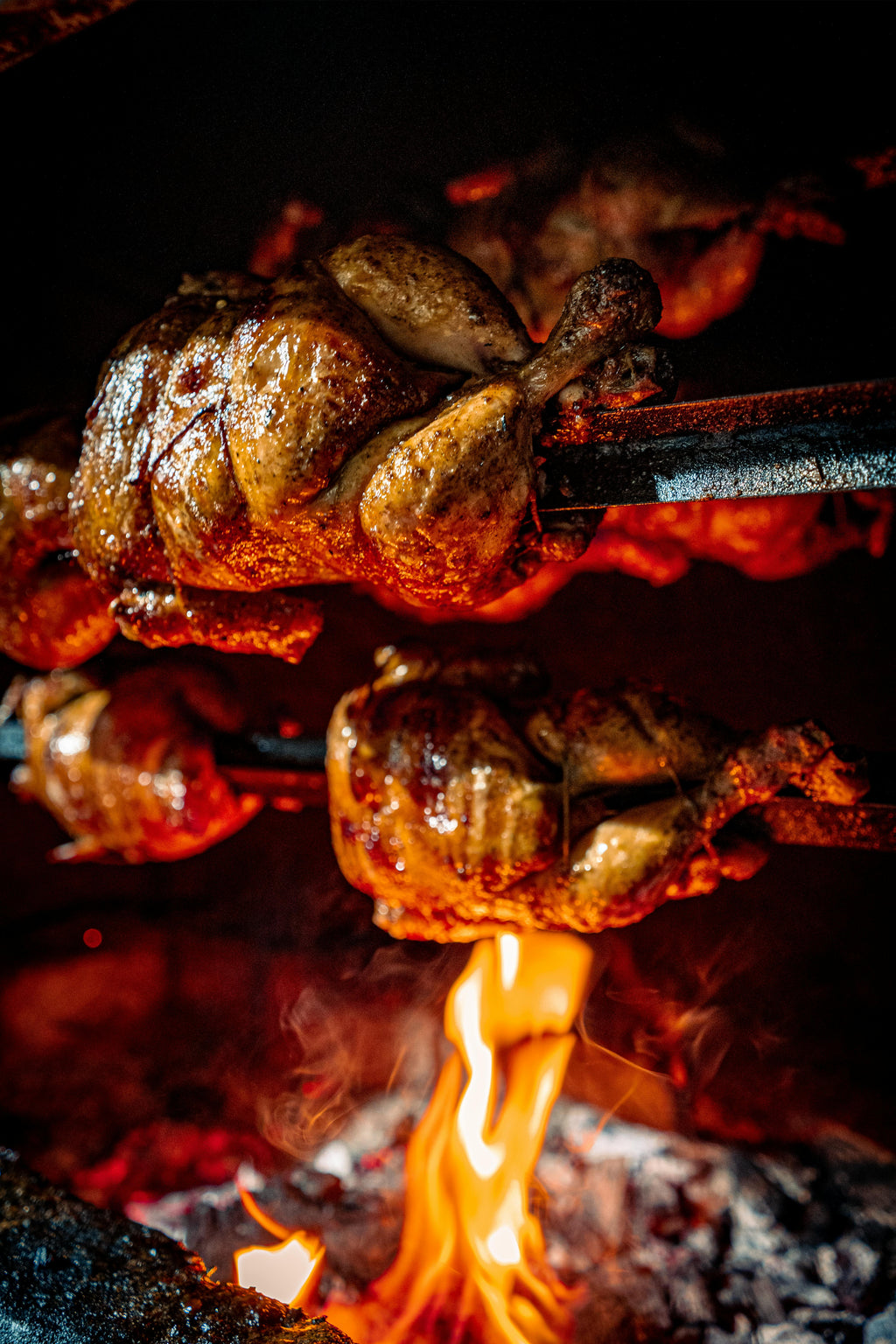 Pre-Order Pasture-Raised Roaster Chicken — Rhode Island Red