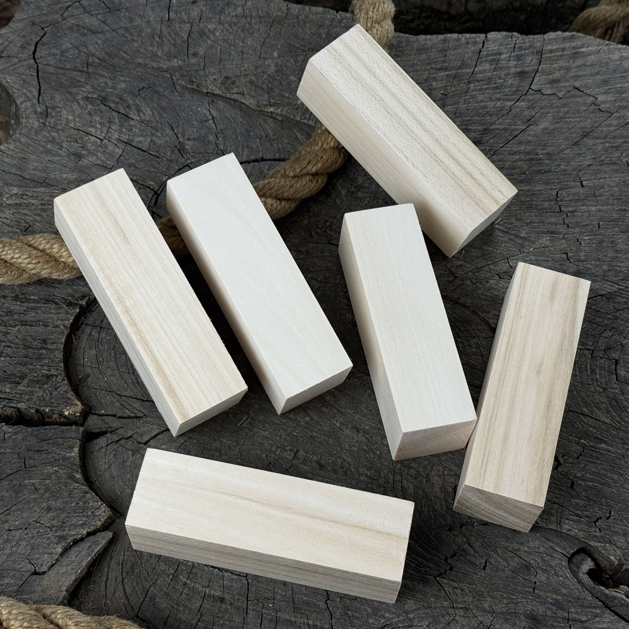 Set of 6 Medium Rectangular Linden Wood Carving Blanks